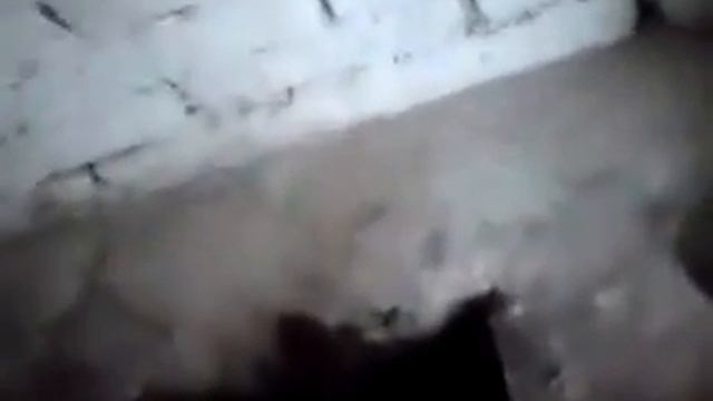 Да, это суровая российская армия смотреть онлайн