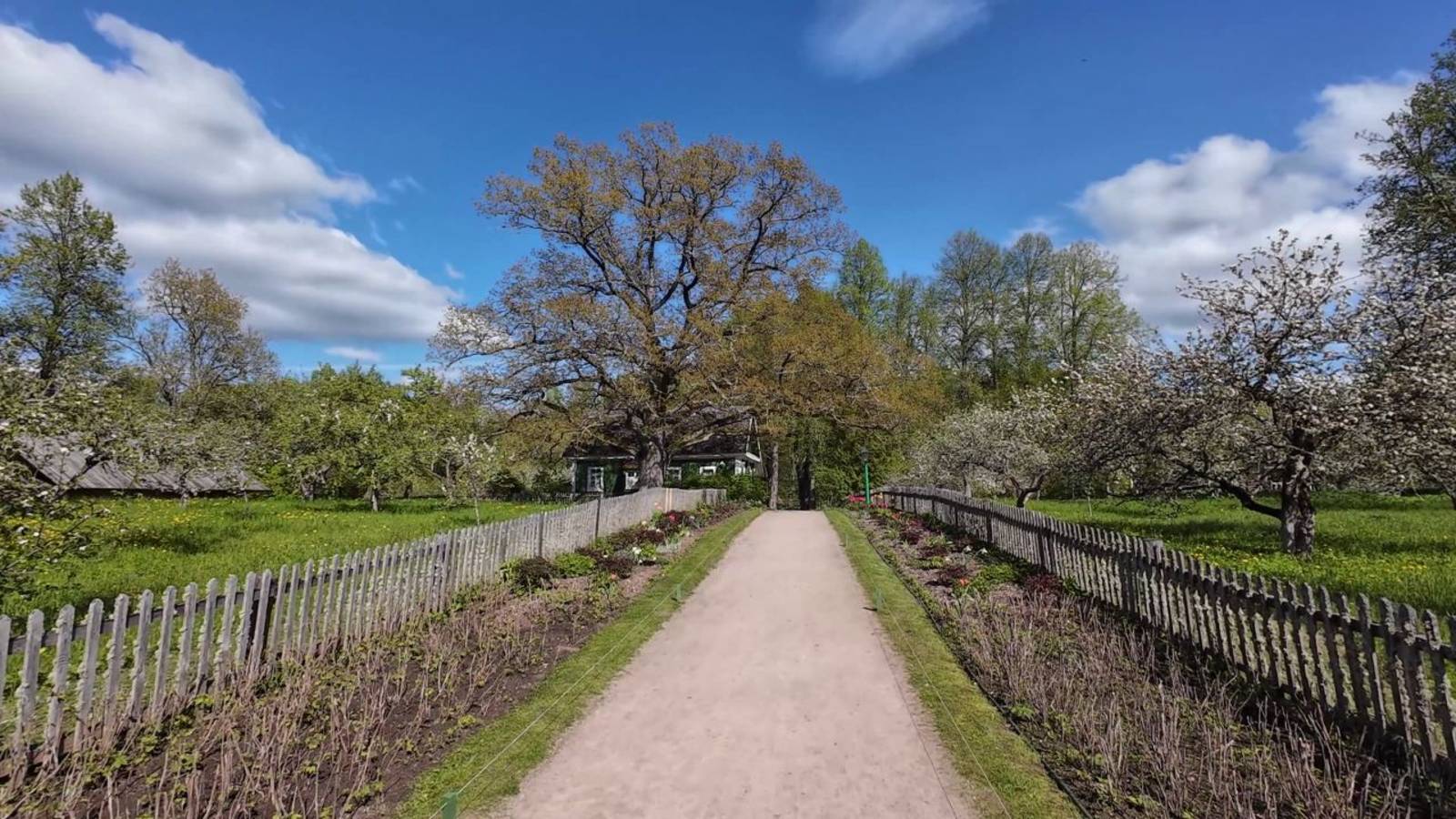 ПУШКИНСКИЕ ГОРЫ | RED HOG