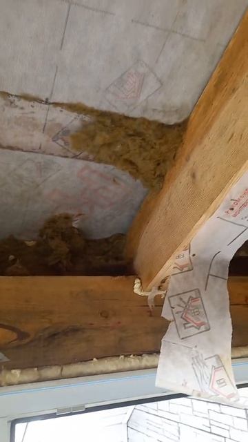 Ошибка утепления кровли.