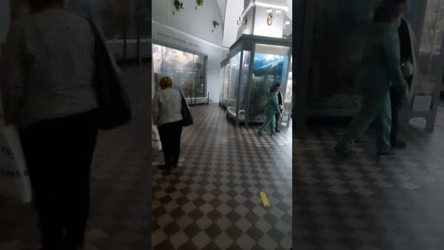 29 октября 2023 г. смотреть онлайн