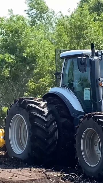 Без страданий и Быстро Ввод в севооборот #ТолькоРотов?