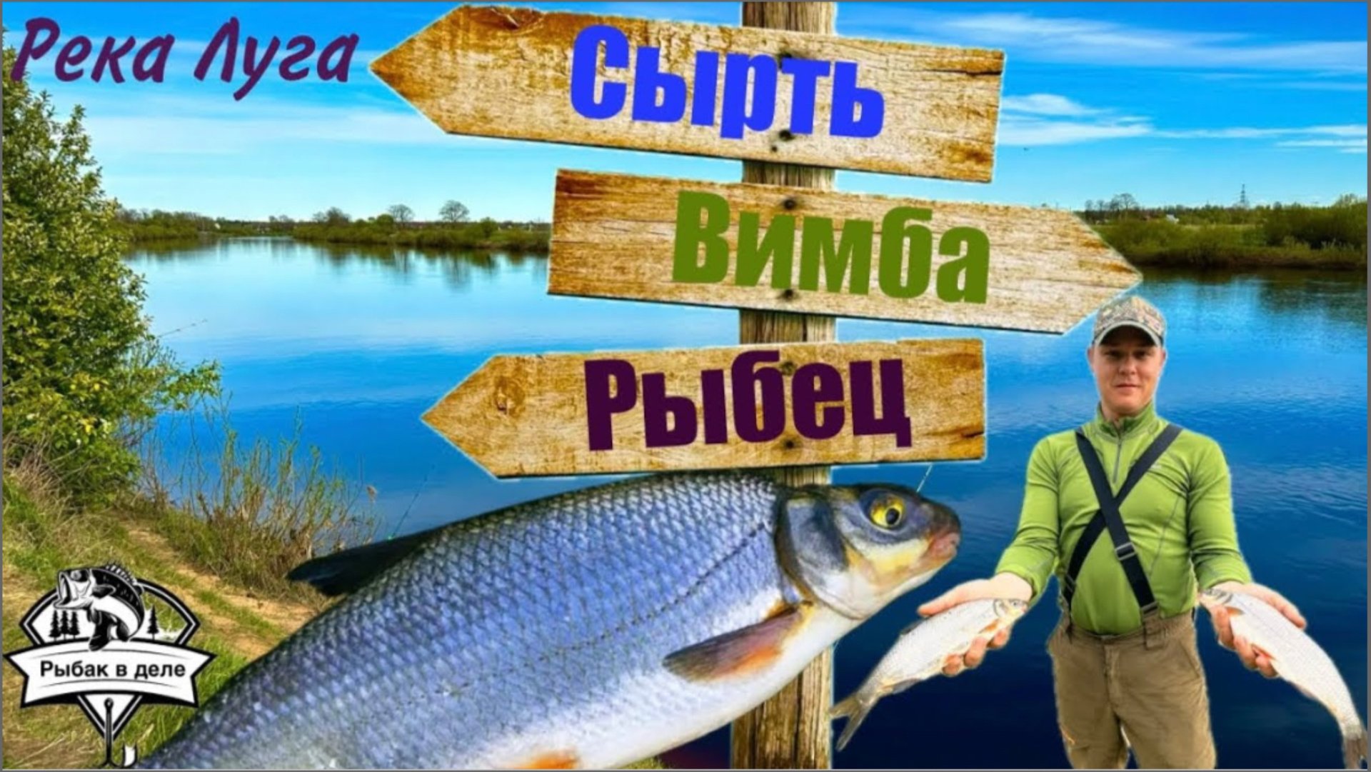 Отлично отловились по СЫРТИ на реке Луга, Крупная ВИМБА он же РЫБЕЦ! #сырть #вимба #рыбаквделе смотреть онлайн