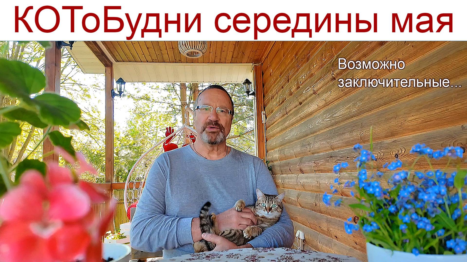 Как скрипач без пальцев или КОТоБудни середины мая и возможно последние... (13 - 21.05.2025г) смотреть онлайн