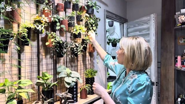 Обзор растений у цветовода в гостях/ огромная коллекц? смотреть онлайн