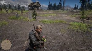 Орхидея венерин башмачок (orchid venus slipper) Red Dead Redemption 2