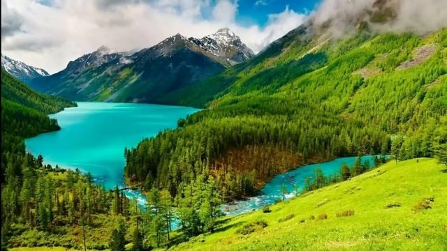 Лютые приколы. КОТ КУПИЛ СМЕТАНУ!!! Самое смешное видео! Засмеялся проиграл! – Domi Show! смотреть онлайн