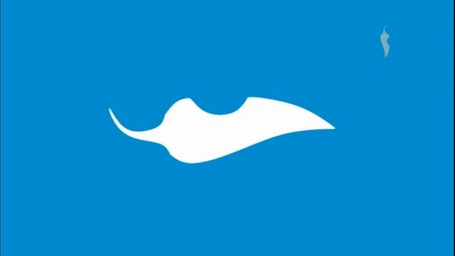 Заставки и анонсы Перец International 12.03.2025