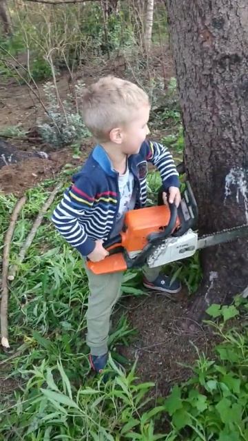 #одинвдеревне #штиль #сын #бензопила #вальщик #лесоруб # смотреть онлайн