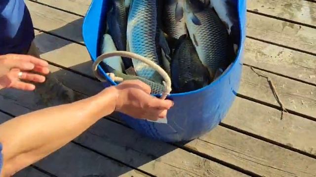 WhatsApp Video 2025-05-21 at 18.16.56 смотреть онлайн