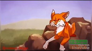 Коты воители Кленовница клип - Hush.