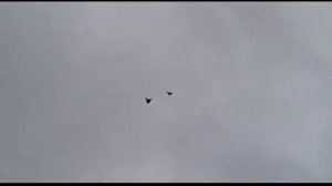 БК торцовые голуби Семченкова А.Н. 2011mpg