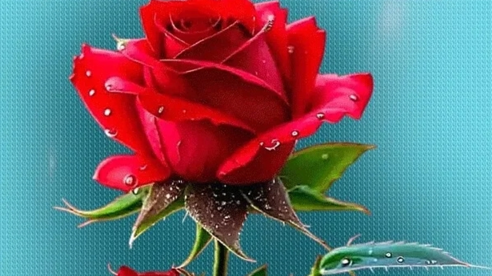 21-05-2025 смотреть онлайн