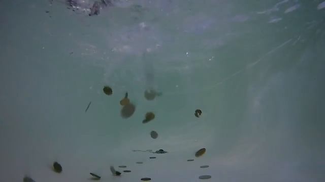 slow motion. монеты. под водой смотреть онлайн