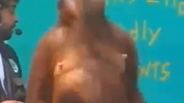 Обезьяна фокусник Супер прикол! Реально смешное видео смотреть онлайн