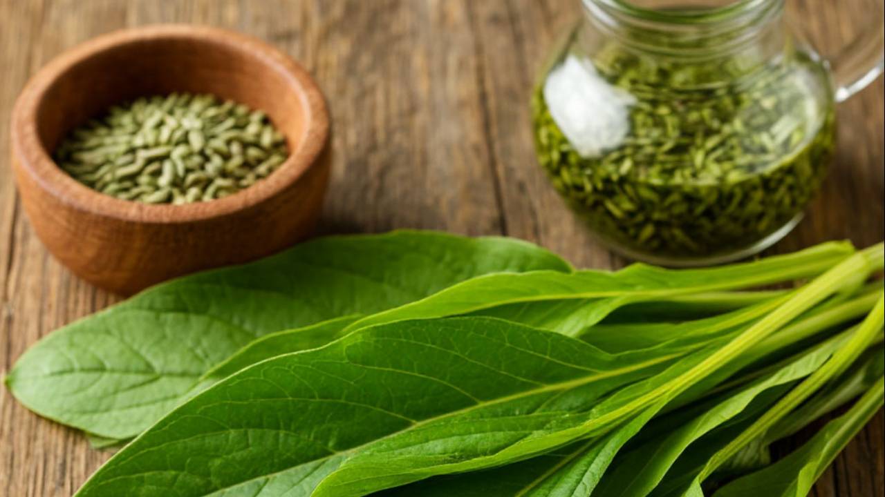 Лечение гайморита рецепты народной медицины. смотреть онлайн