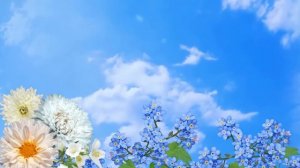 Футаж фоновый, цветы hd для видеомонтажа/background flowers