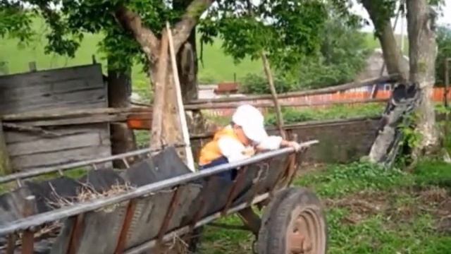 ГОД ЛОШАДИ ЭТО СЕРЬЁЗНО смотреть онлайн