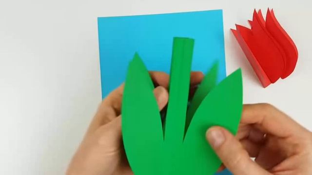 Тюльпан 5 клас