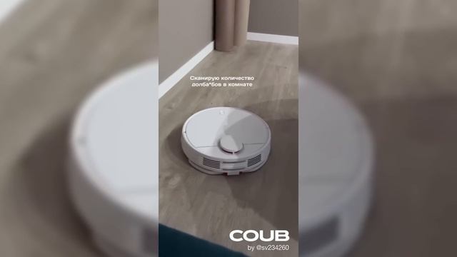 10 МИНУТ ПРИКОЛОВ | ТЕСТ НА ПСИХИКУ | ЛУЧШИЕ ПРИКОЛЫ ЯНВАРЬ 2024 | BLADE COUB #42 смотреть онлайн