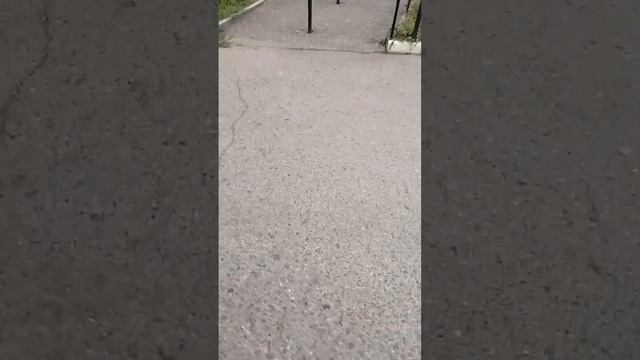 найти магазин моя цель) смешное видео смотреть онлайн