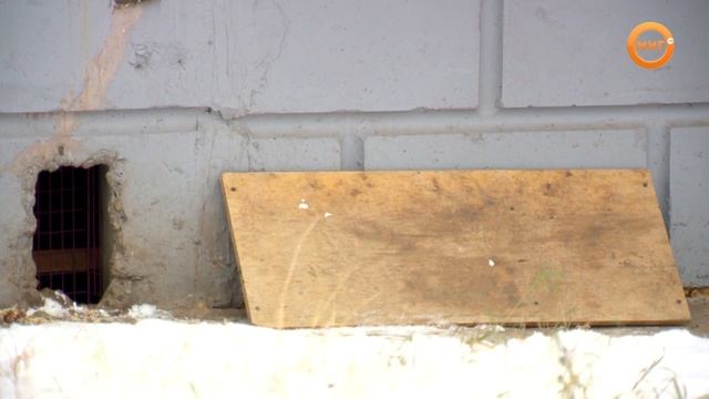 События и факты. 04 ноября 2021 день (МИГ ТВ, Ноябрьск)