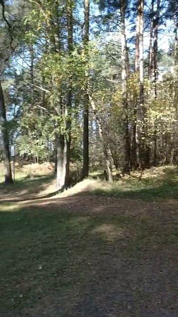 Археологические памятники природы, Гнездово курганы ? смотреть онлайн