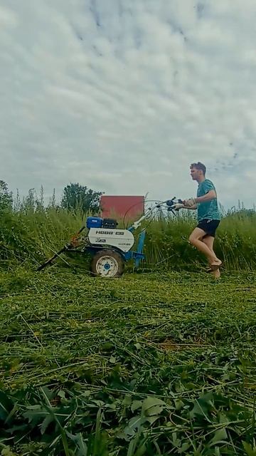 ПРИЯТНО ПОСМОТРЕТЬ КОГДА ПОРЯДОК, МОТОБЛОК И КОСИЛКА ? смотреть онлайн