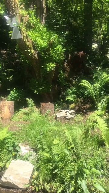 Животворящий источник / 赋予生命的春天 смотреть онлайн