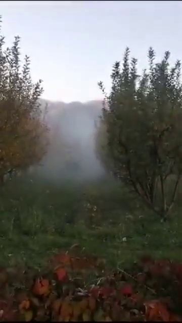 самодельный опрыскиватель к мини трактору смотреть онлайн