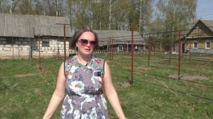 Виноград не проснулся?  Пора беспокоиться? Рассматрив?