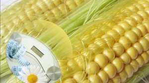 Что творит Кукуруза🌽 с организмом? Польза и вред, о ко