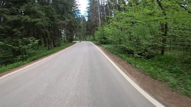 Погоня Traxxas X-maxx