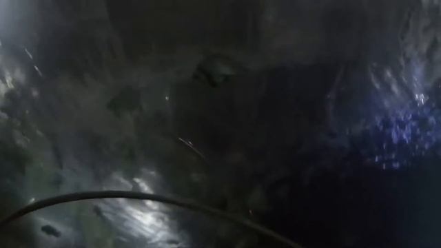 Вьетнам. Нячанг. Винперл. Прошли аквариум, на русалок не успели. смотреть онлайн