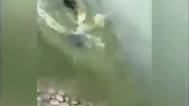 СМЕШНЫЕ ПАДЕНИЯ И НЕУДАЧИ часть 2 (приколы 2019)