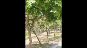 Каспийск г. дом в продаже.mp4