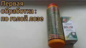 Полная схема обработки винограда от вредителей и боле