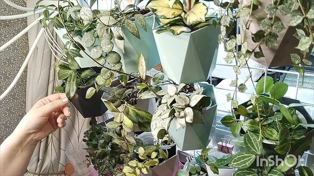 Изменения на мудборде из моих хой смотреть онлайн