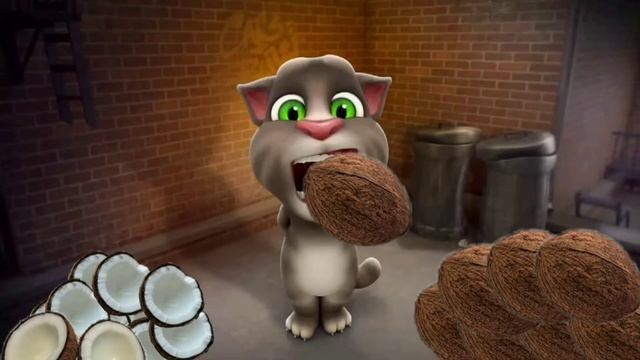 Fixie - Биография