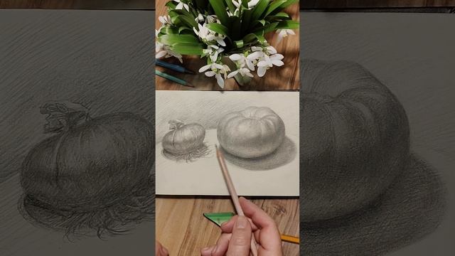 РИСУЕМ ОВОЩИ ПРОСТЫМ КАРАНДАШОМ смотреть онлайн