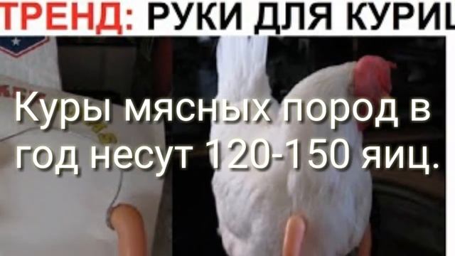 Мой новый канал!