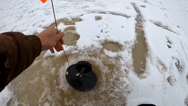 Заставили всё жерлицами! И КТО МОЛОДЕЦ? ВОЛОДЯ МОЛОДЕЦ!!!! смотреть онлайн