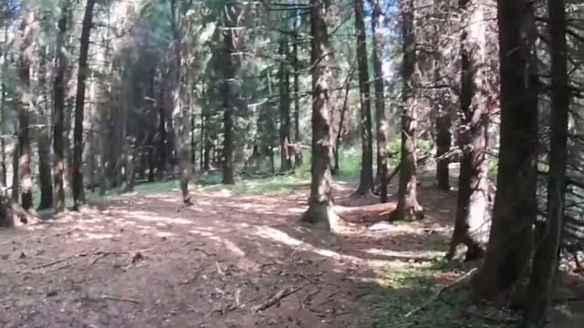 Страйкбол Междуреченск. Воскреска 28.08.2021г смотреть онлайн
