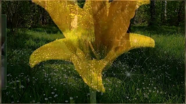 С ДНЁМ РОЖДЕНИЯ