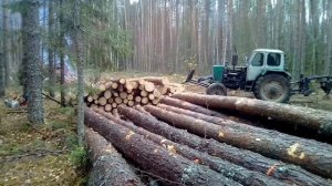 работа в лесу пилим трелюем на юмз