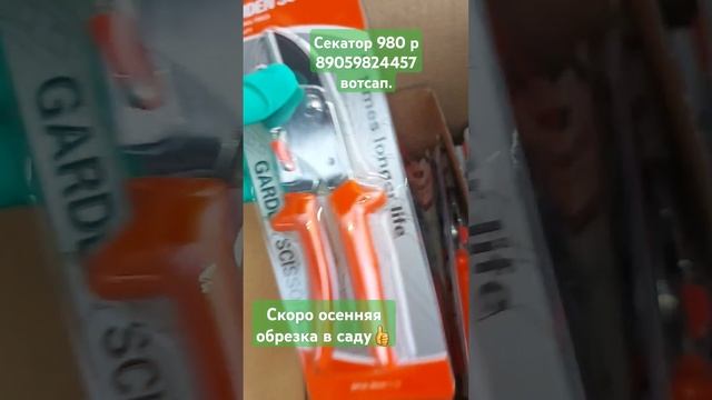 Секатор!💥 Супер помощь при обрезке гортензий #гортен? смотреть онлайн