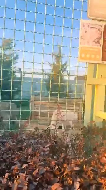 Не повтряйте его ошибок смотреть онлайн