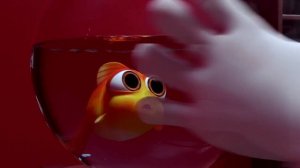 Помидор Доппи - Свидание 2 часть. Мультик для детей.