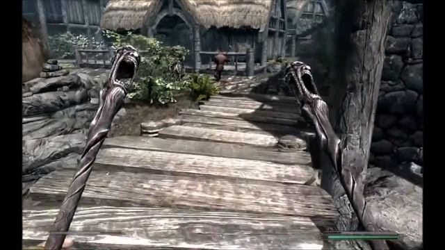 Приколы про Скайрим!!!