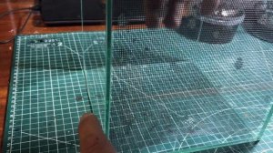 Как сделать фон в флорариум, террариум, мохариум