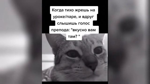 ПРИКОЛЫ С ТИК ТОКА №5/ПРИКОЛЫ 18+/ ЧУДИКИ ИЗ ТИК ТОКА смотреть онлайн